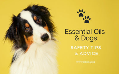 Are Essentials Oils Safe for Dogs, Cats and other Pets?