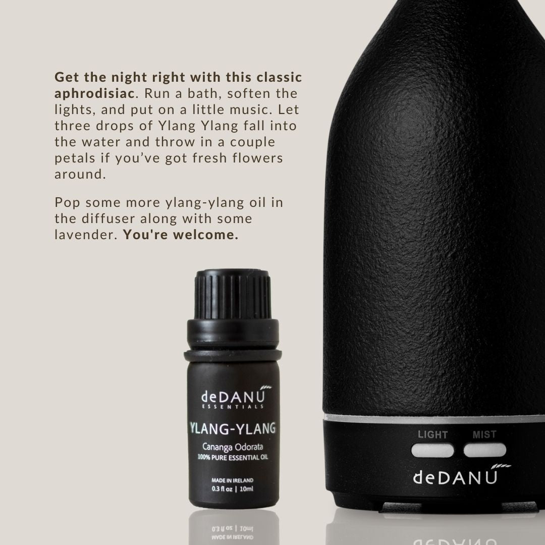 Gya Labs: Sandalwood & Ylang Ylang Essential Oil Set
