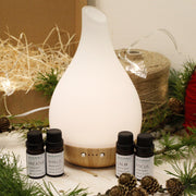 Home Favourites Diffuser Gift Set