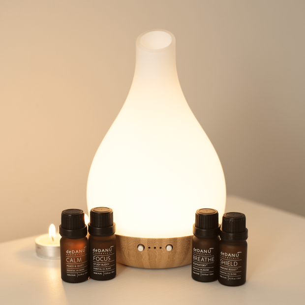 Home Favourites Diffuser Gift Set