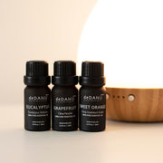 Uplifting Essential Oil Collection